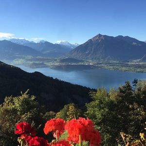 Meet your Posher, Sapphire